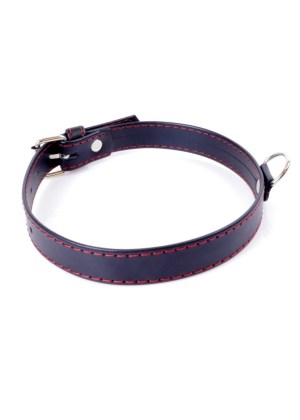 fetish-boss-series-collar-2cm-red-line (5)